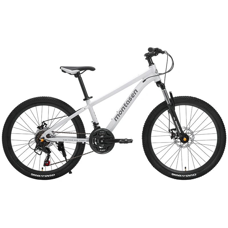 Teenage Size Mountain Bike